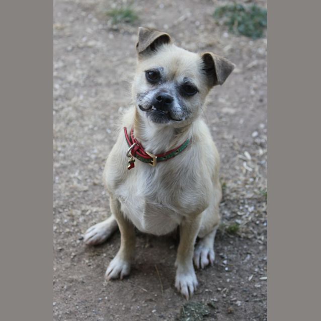 Photo of Lilly (D017) 