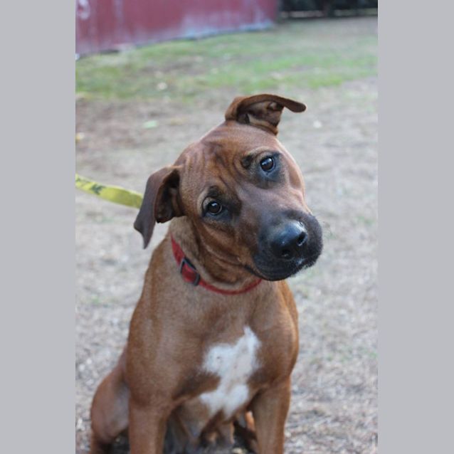 Photo of Roxy