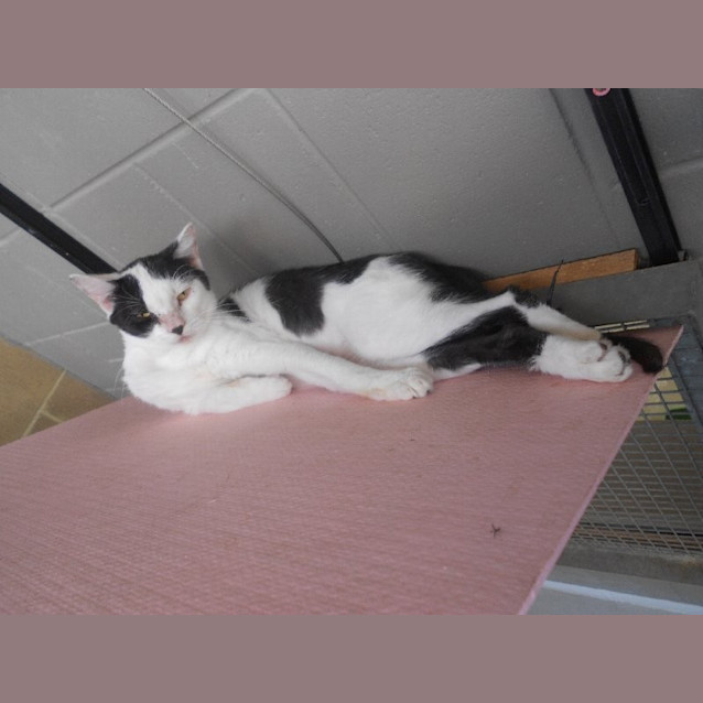 Photo of Jasper
