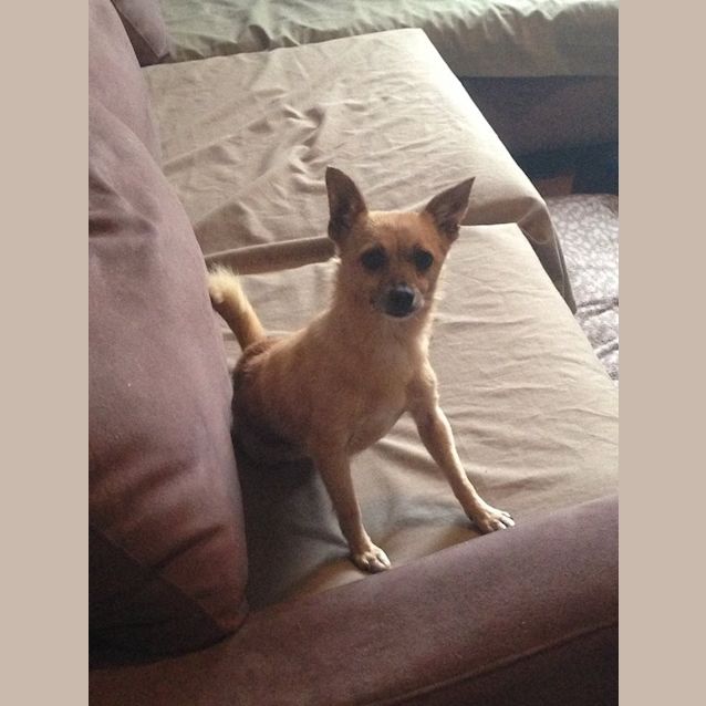 Photo of Evie