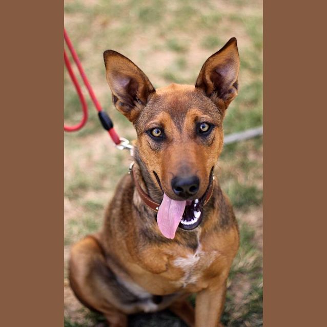 Photo of Chase
