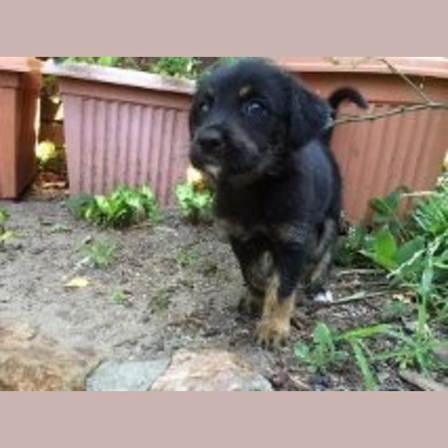 Photo of Lucy