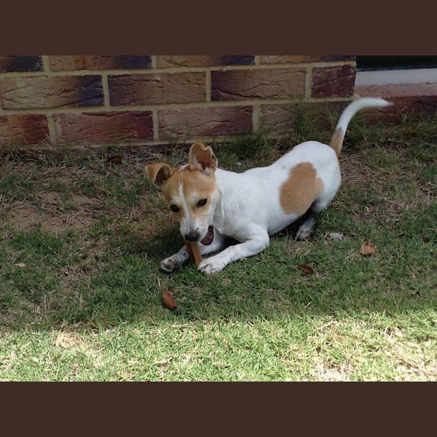 Photo of Little Luke Ed0005 