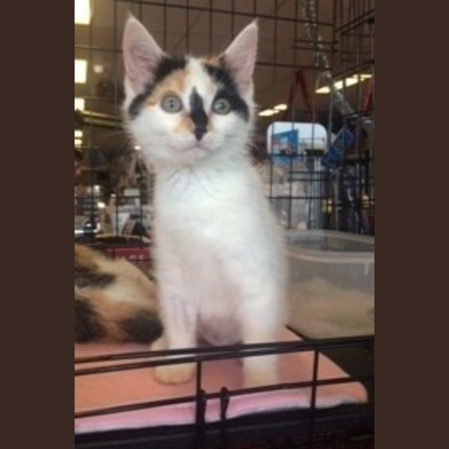 Photo of Cassie