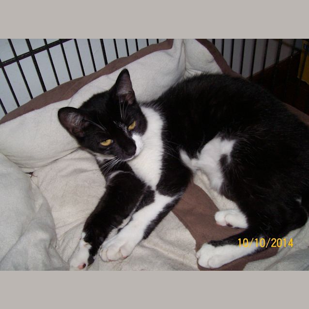 Photo of Kitty Katherine