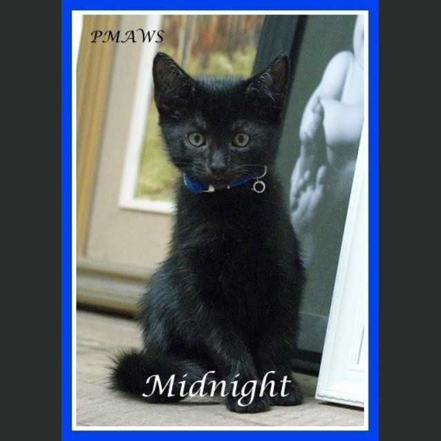 Photo of Midnight