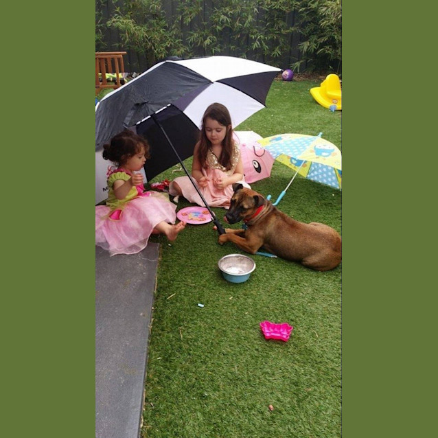 Photo of Mollie ... Adored By Her 2 Carer Families....