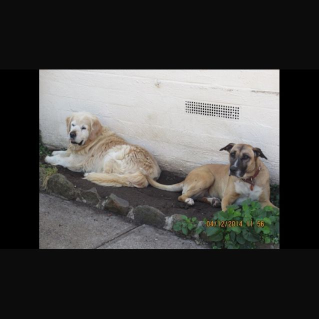 Photo of Squirt   The Perfect Girl