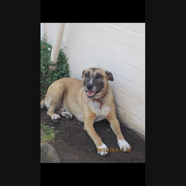 Photo of Squirt   The Perfect Girl