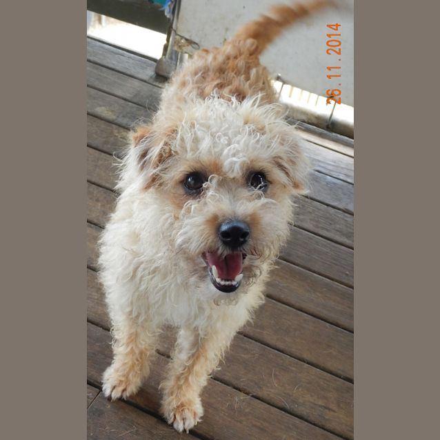 Photo of Curly Sue
