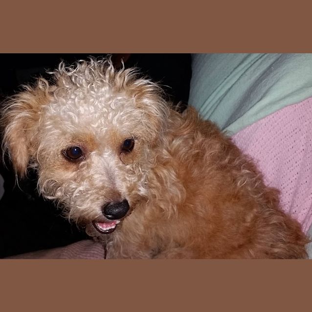 Photo of Curly Sue