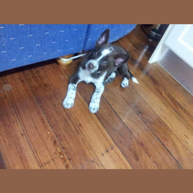 Photo of Coby 