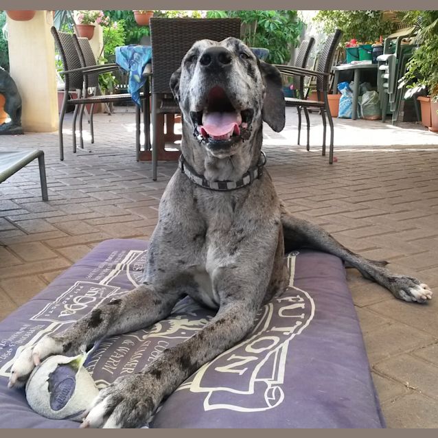 Photo of Tilly