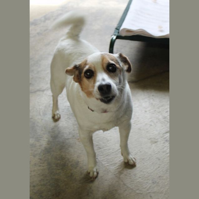 Photo of Coco