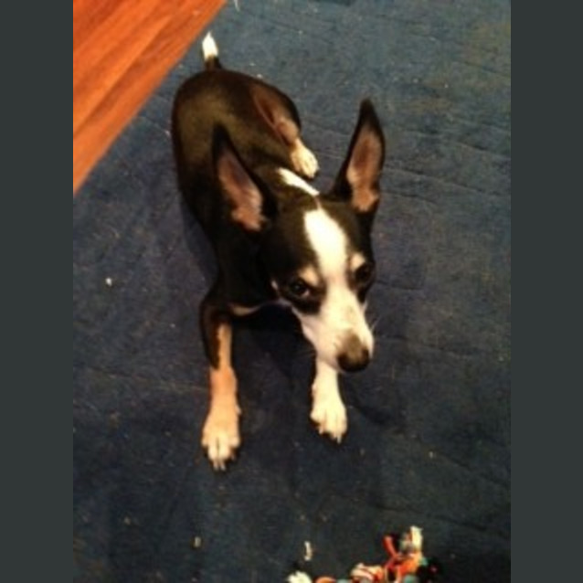 Photo of Timmy