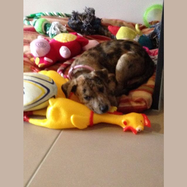 Photo of Tequila 