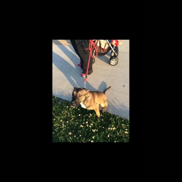 Photo of Zoomi   The Super Cute Boy
