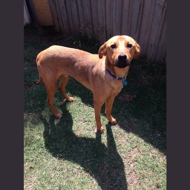 Photo of Timmy