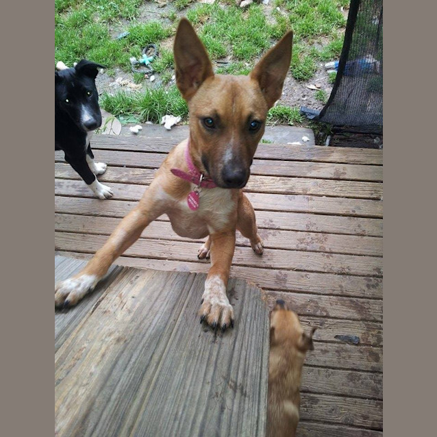 Photo of Lulu
