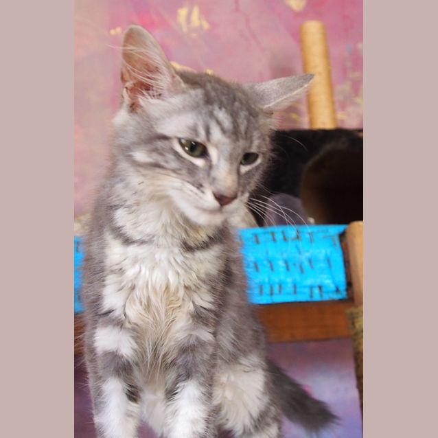 Photo of Beryl