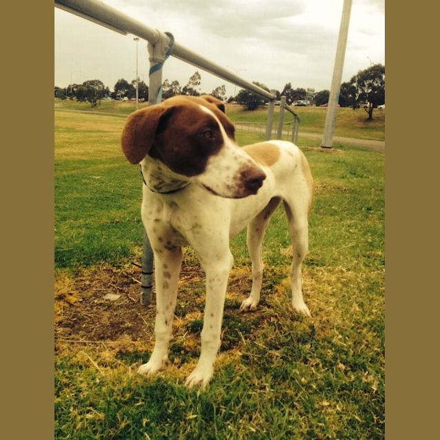 Photo of Cash