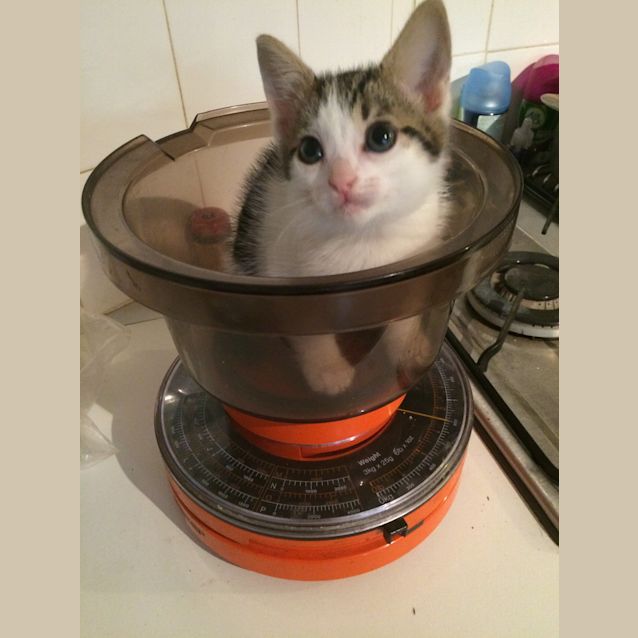 Photo of Deep Secret