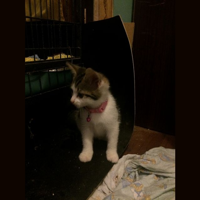 Photo of Deep Secret