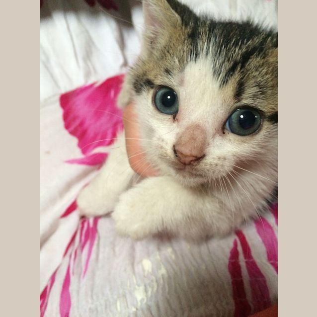 Photo of Deep Secret