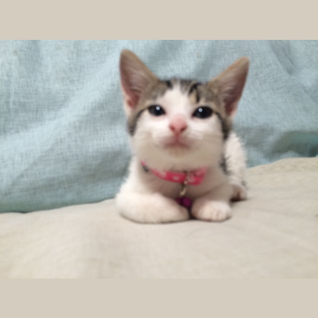 Photo of Deep Secret