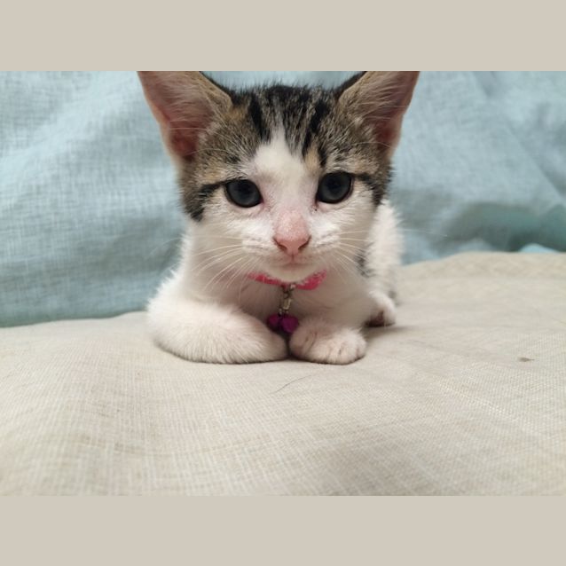 Photo of Deep Secret