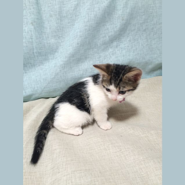 Photo of Deep Secret