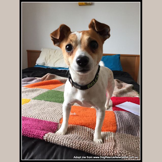 Photo of Bella (On Trial 18/12/14) ~ Beautiful Blind Girl