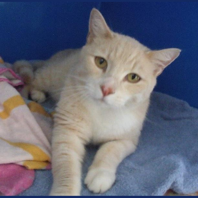 Photo of Jasper