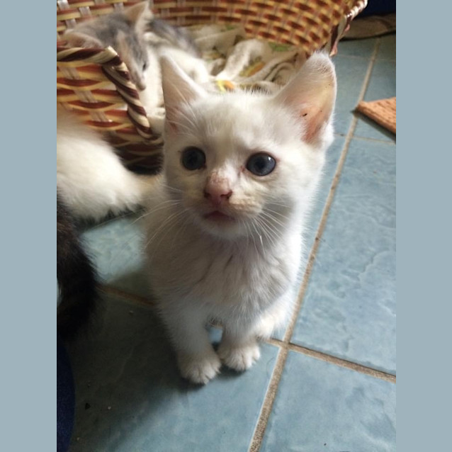 Photo of Ivan