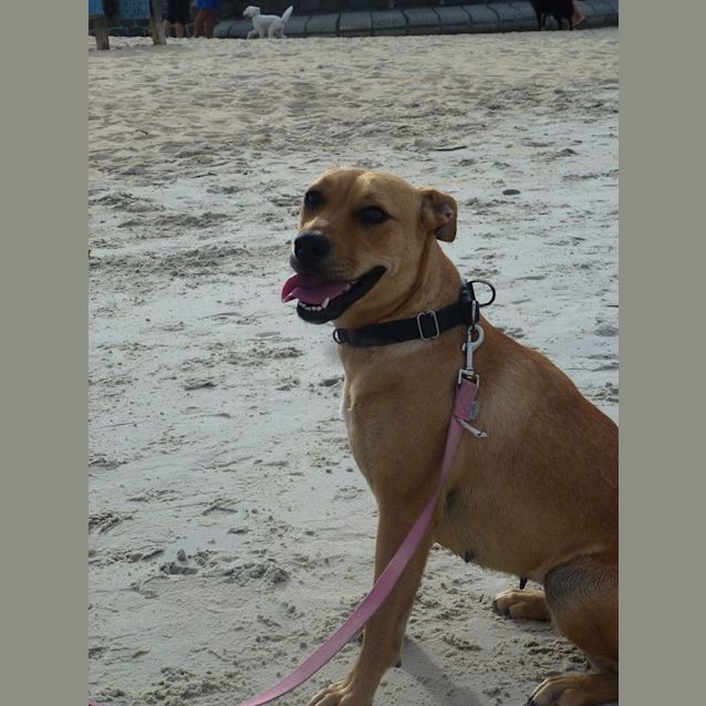Photo of Sandi
