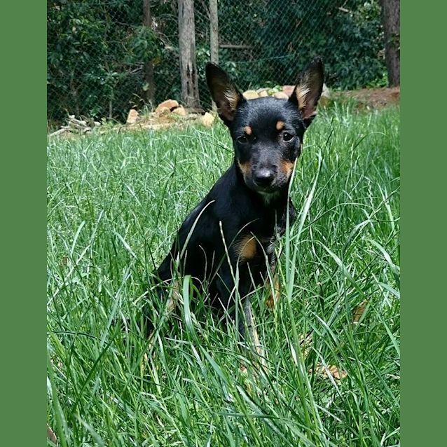 Photo of Narla