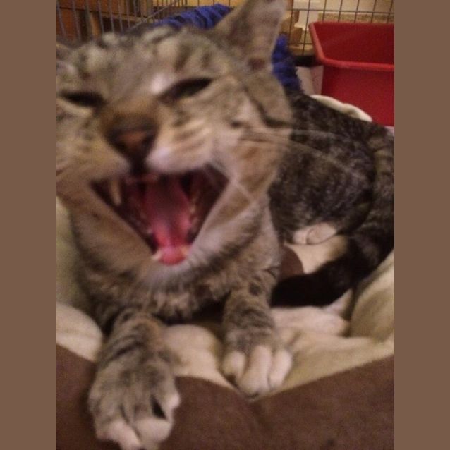 Photo of Spunky
