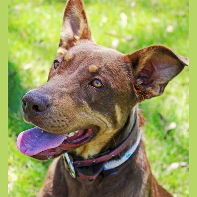 Photo of Shilo