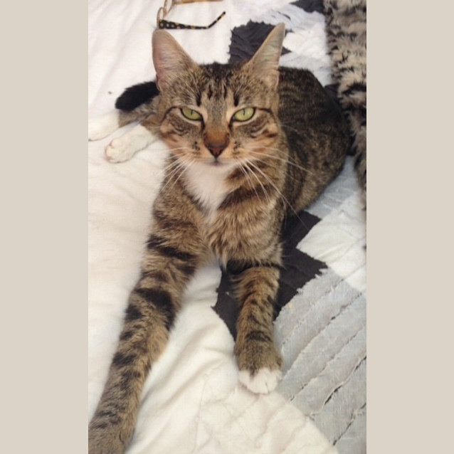 Photo of Quinn