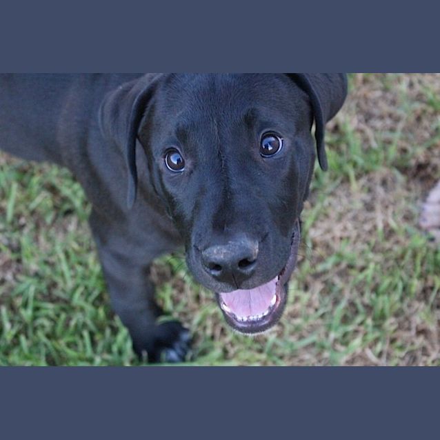 Photo of Fraser *On Trial In His New Home*