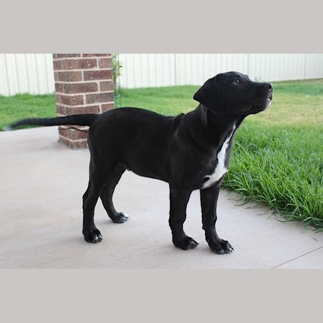 Photo of Fraser *On Trial In His New Home*