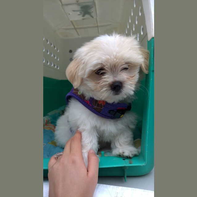 Photo of Tilly