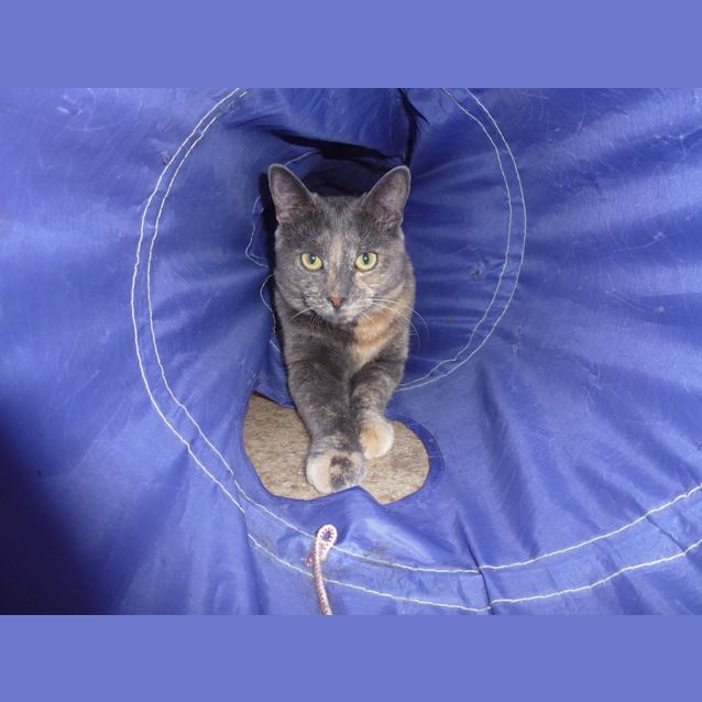 Photo of Miss Felicity