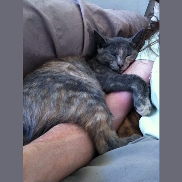 Photo of Miss Felicity