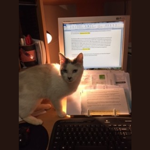 Photo of Ruby (Located In Montrose)