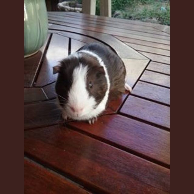 Photo of Eddy