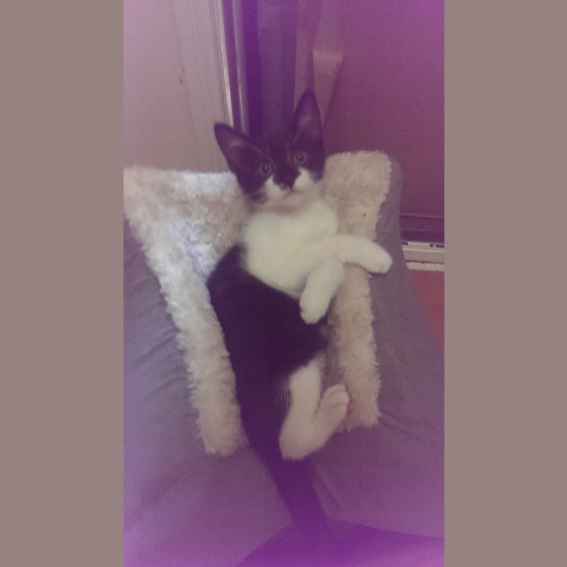 Photo of Batman 