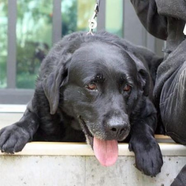 Photo of Gus