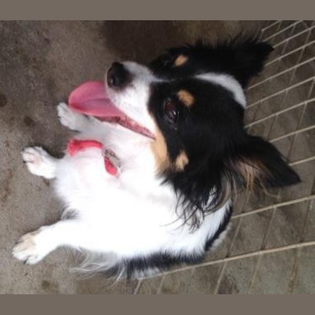 Photo of Roxy