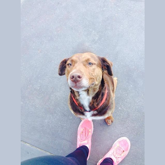 Photo of Mocha Dl093